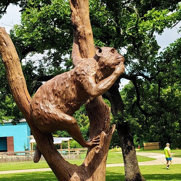 $3 Listing for Posh Show with Rules. Thank you! - Picture 3 of 8